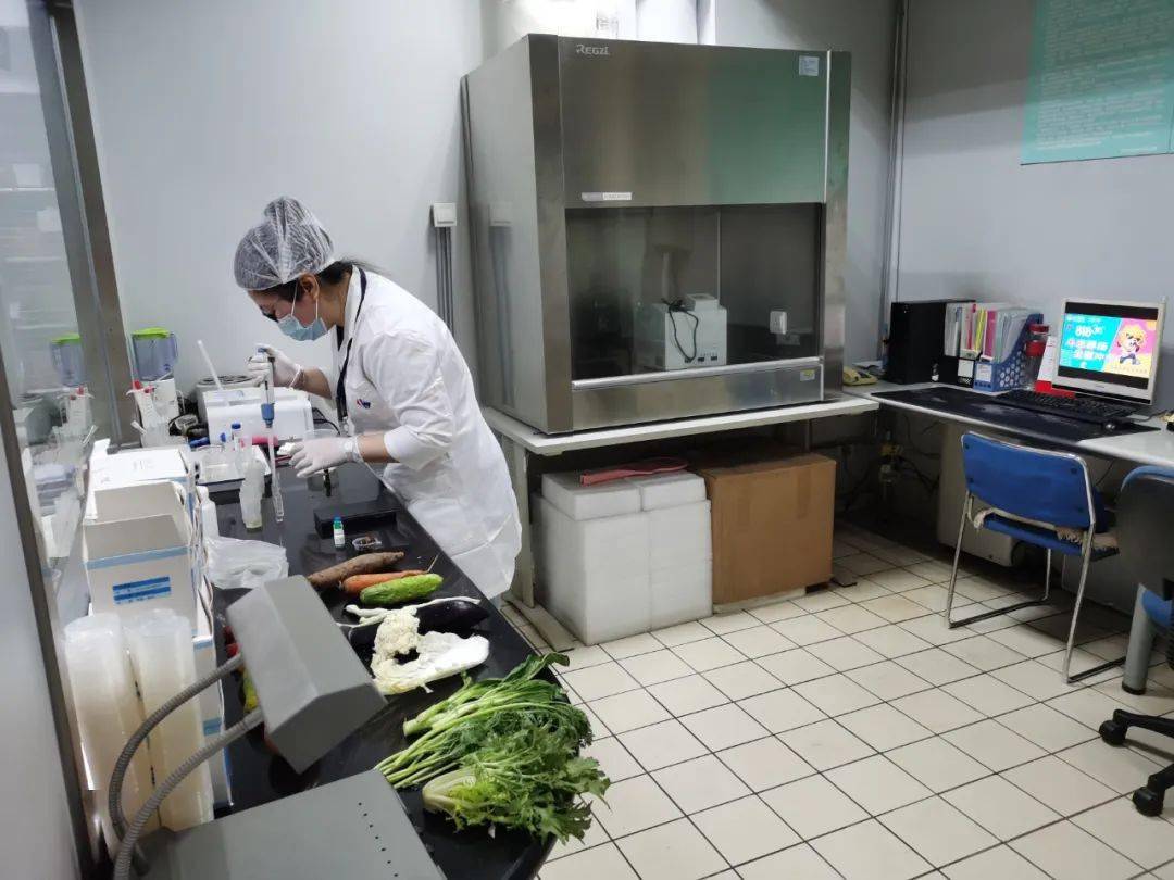 泌阳食品检测实验室装修方案